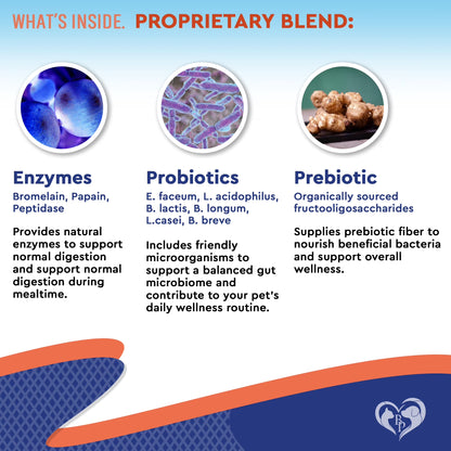Probiotics & Prebiotics with Enzymes for Dogs and Cats - Digestive & Gut Flora Support Pet Food Supplement - Supports Digestive Comfort
