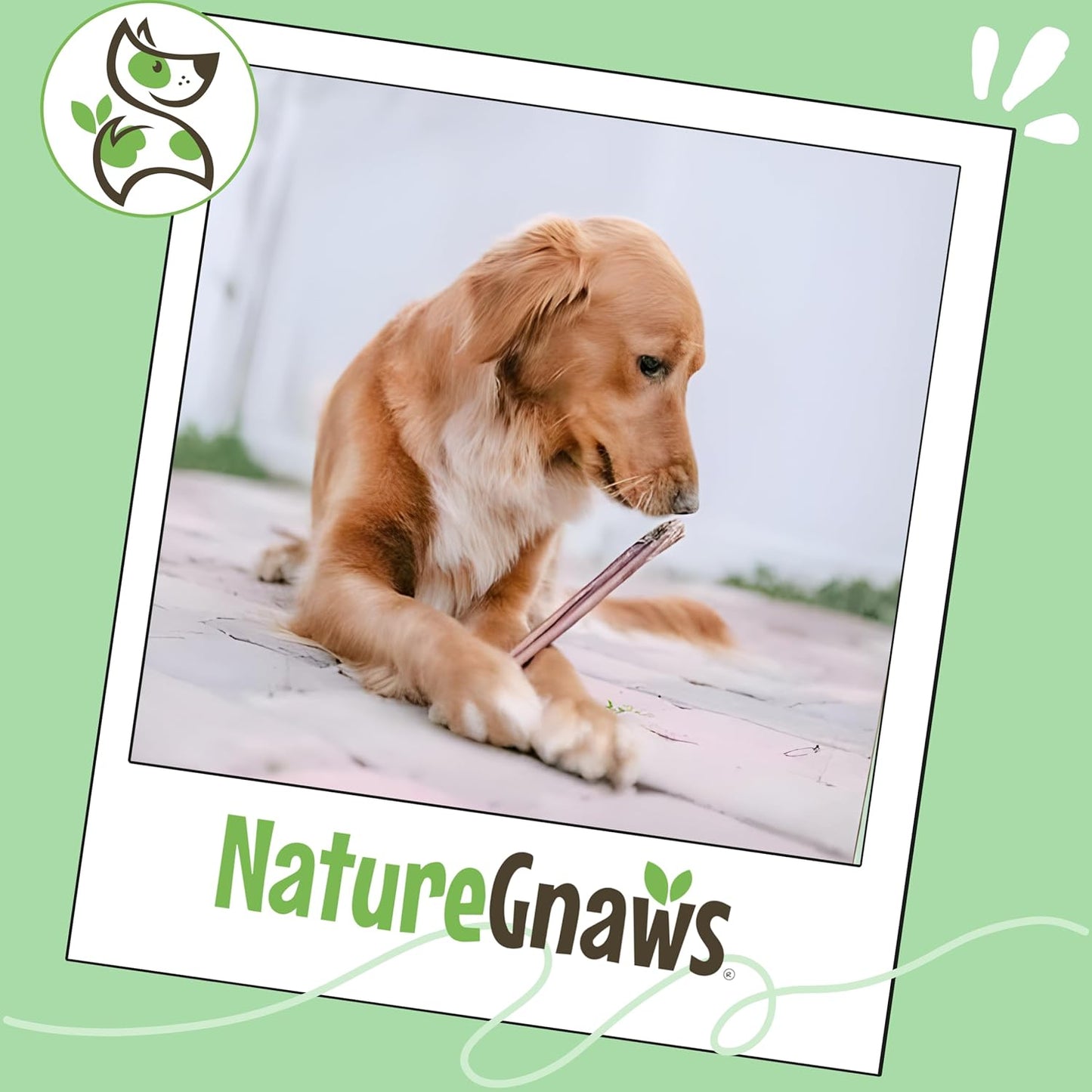 Bully Sticks 11-12" Long Lasting Rawhide Free Dog Chews, 8 Oz