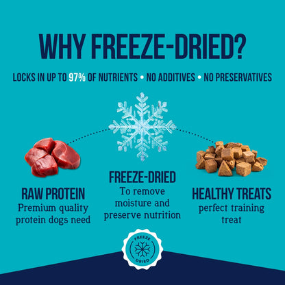 Freeze Dried Dog Treats, 100% Chicken Liver, 1.5 Oz Tub | Premium Quality Raw Protein, Single Ingredient, High Protein Training Treats & Food Topper, No Refrigeration, Cat Friendly