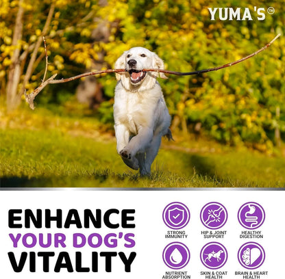 Multivitamin Treats for Dogs 2-Pack