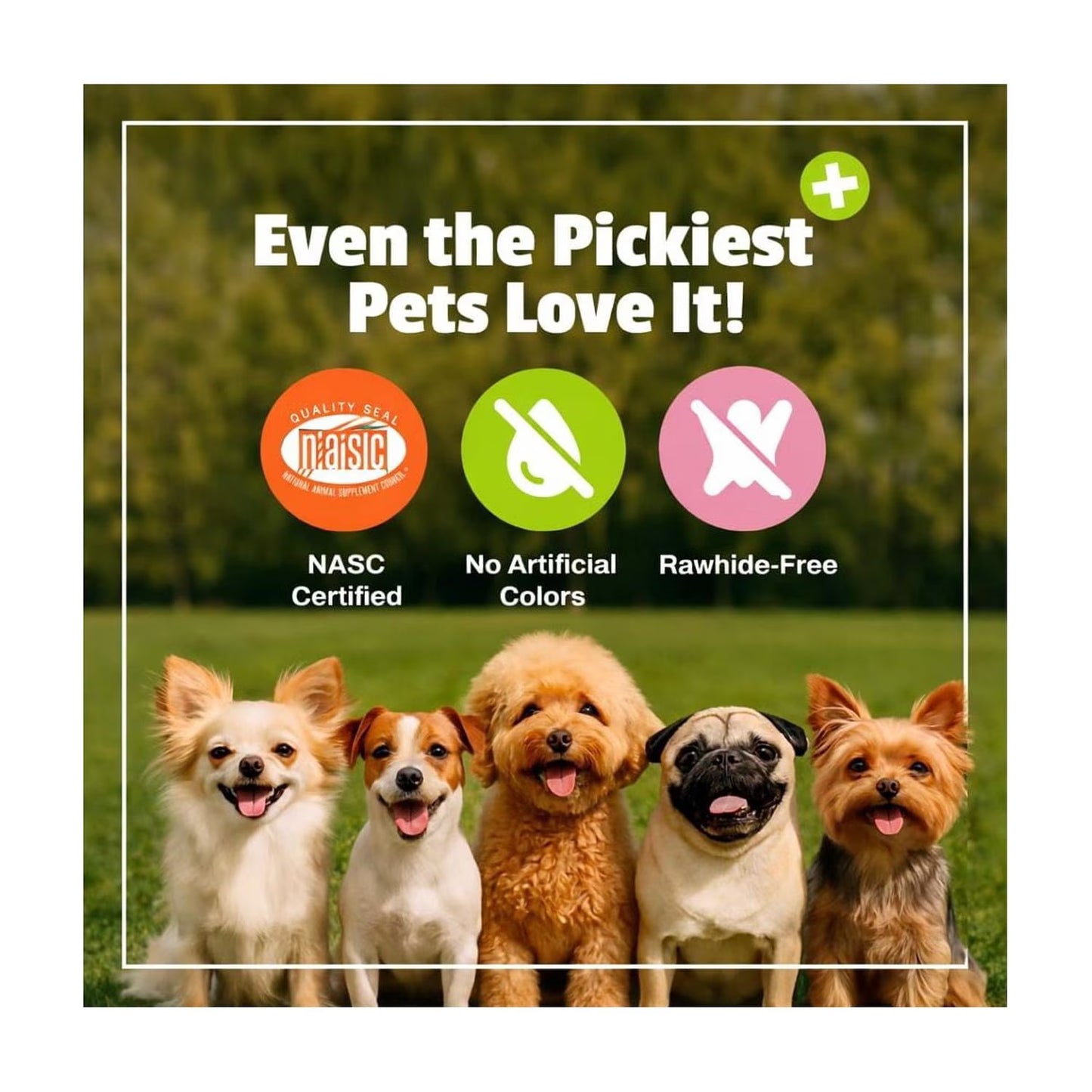 Daily Probiotic Chews for Dogs, Duck, 60 Count
