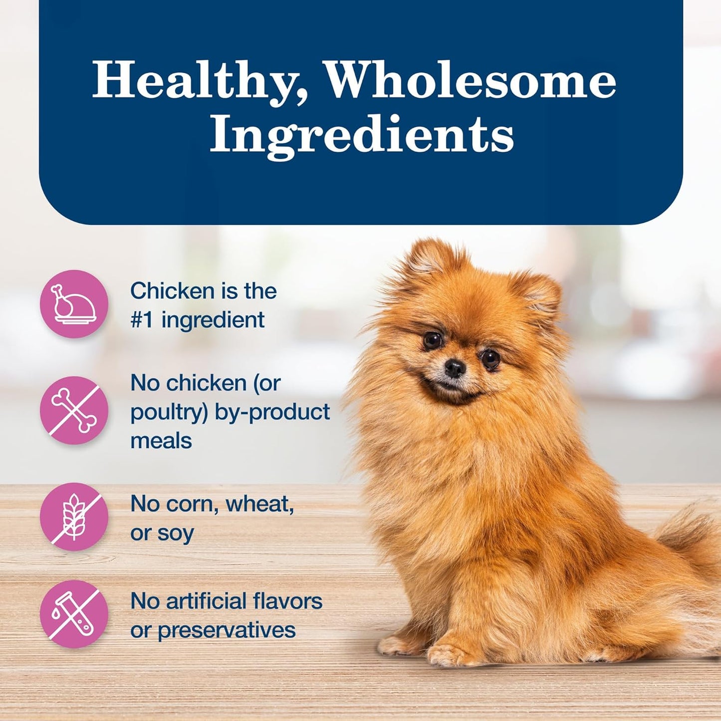 Homestyle Recipe Chicken Adult Wet Dog Food, 5.5 Oz, 24 Ct | Small Breed Formula, No Chicken By-Product, Corn, Wheat, or Soy
