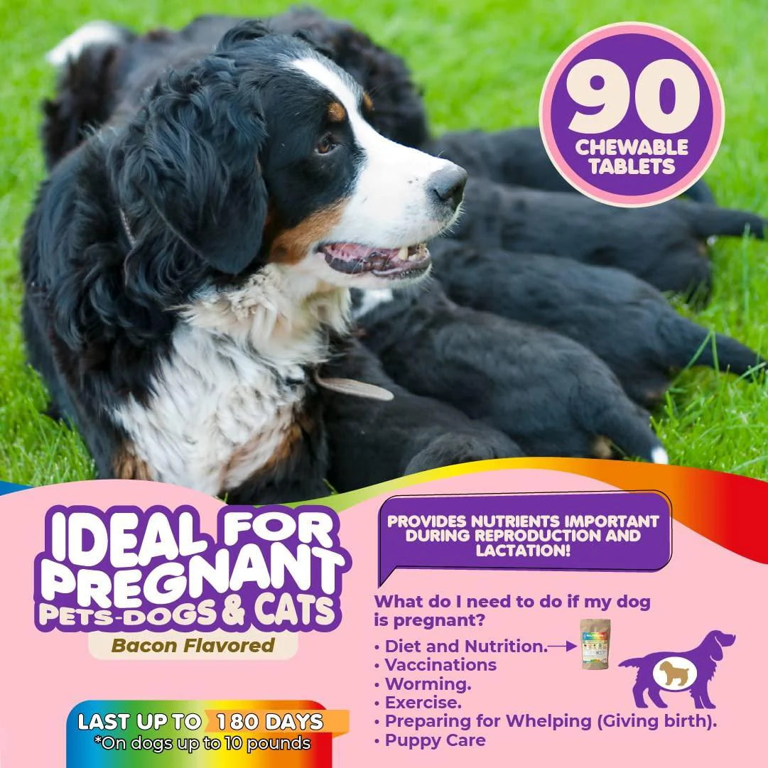 Prenatal Multivitamin for Dogs & Cats Folic Acid & Minerals