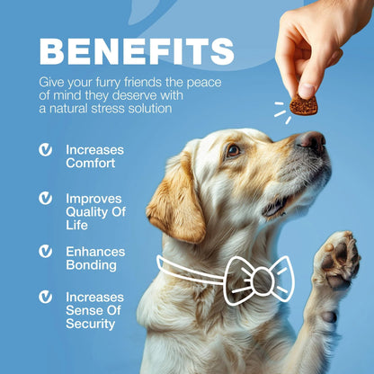 Calming Chews for Dogs Anxiety Relief Melatonin & Valerian Root