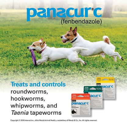 Panacur C Canine Dewormer for Dogs Treats Roundworms Hookworms Tapeworms