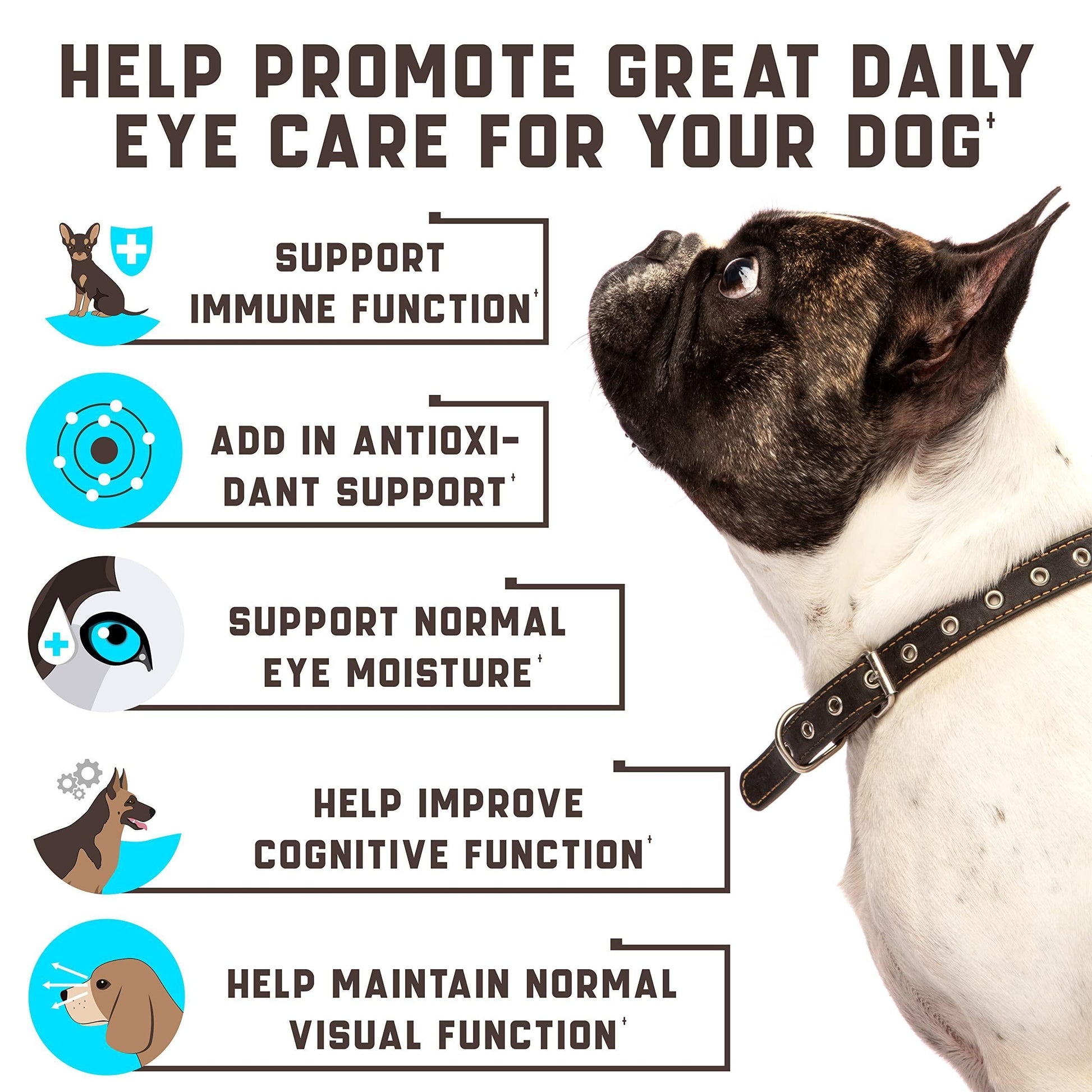 Eye Vitamins for Dogs Vision Supplement Tear Stain Support Duck Flavor