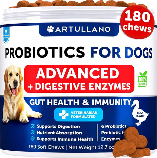 Probiotics for Dogs Gut Health Itchy Skin & Immune Support