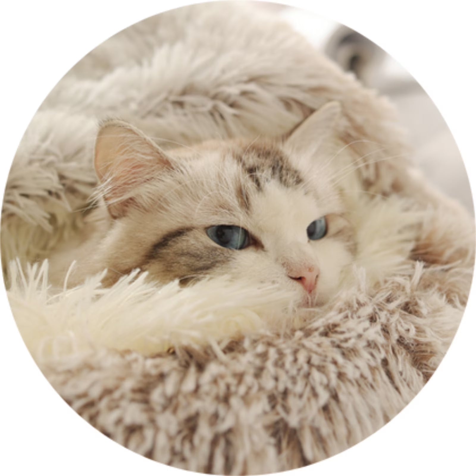 Pet Beds for Cats Clearance,Dog round Winter Warm Sleeping Bag Plush Soft Pet Bed Calming Bed