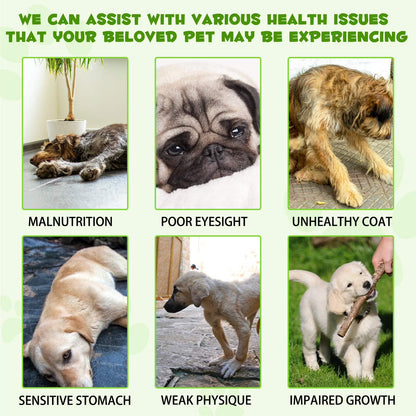 3-In-1 Liquid Probiotic for Dogs | Supports Digestive Health & Gut Comfort - 60Ml (1 Pack)