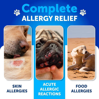 Probiotics for Dogs Gut Health Itchy Skin & Immune Support