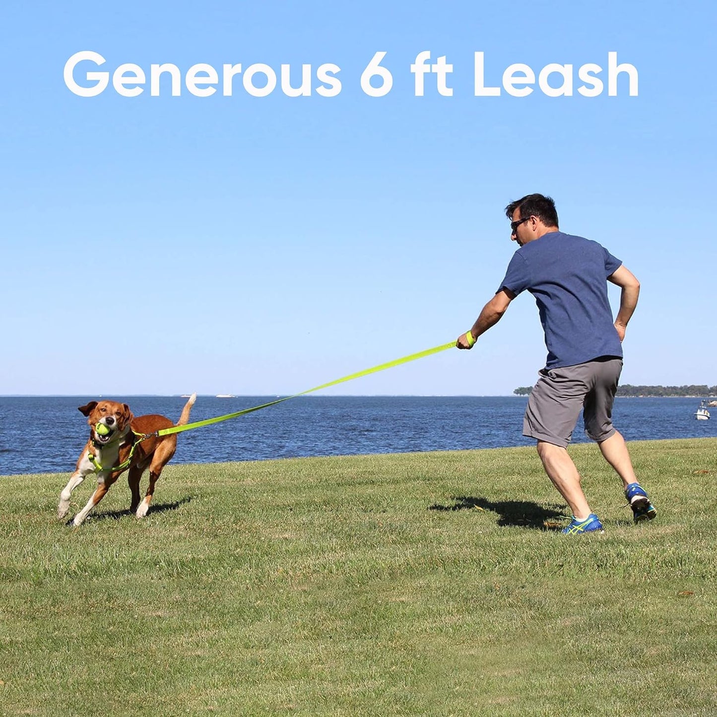 Reflective Orange Dog Leash - 6 Ft Durable Lightweight Lead for Medium & Large Dogs and Puppies