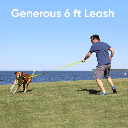 Reflective Orange Dog Leash - 6 Ft Durable Lightweight Lead for Medium & Large Dogs and Puppies