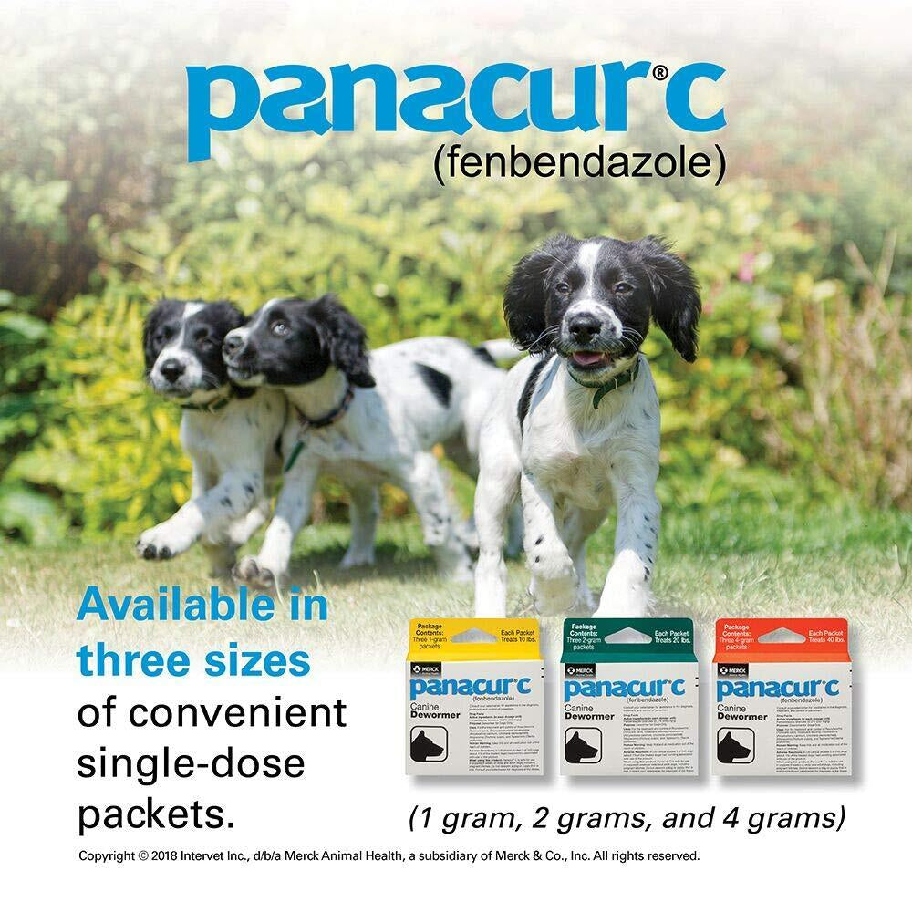 Panacur C Canine Dewormer for Dogs Treats Roundworms Hookworms Tapeworms