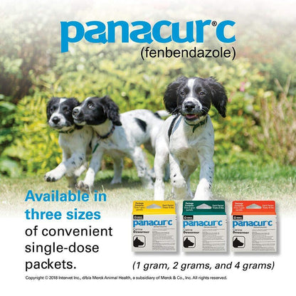 Panacur C Canine Dewormer for Dogs Treats Roundworms Hookworms Tapeworms