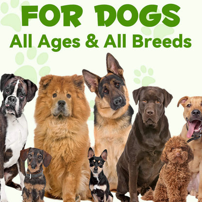 3-In-1 Liquid Probiotic for Dogs | Supports Digestive Health & Gut Comfort - 60Ml (1 Pack)