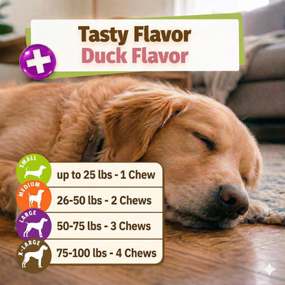 Daily Probiotic Chews for Dogs, Duck, 60 Count
