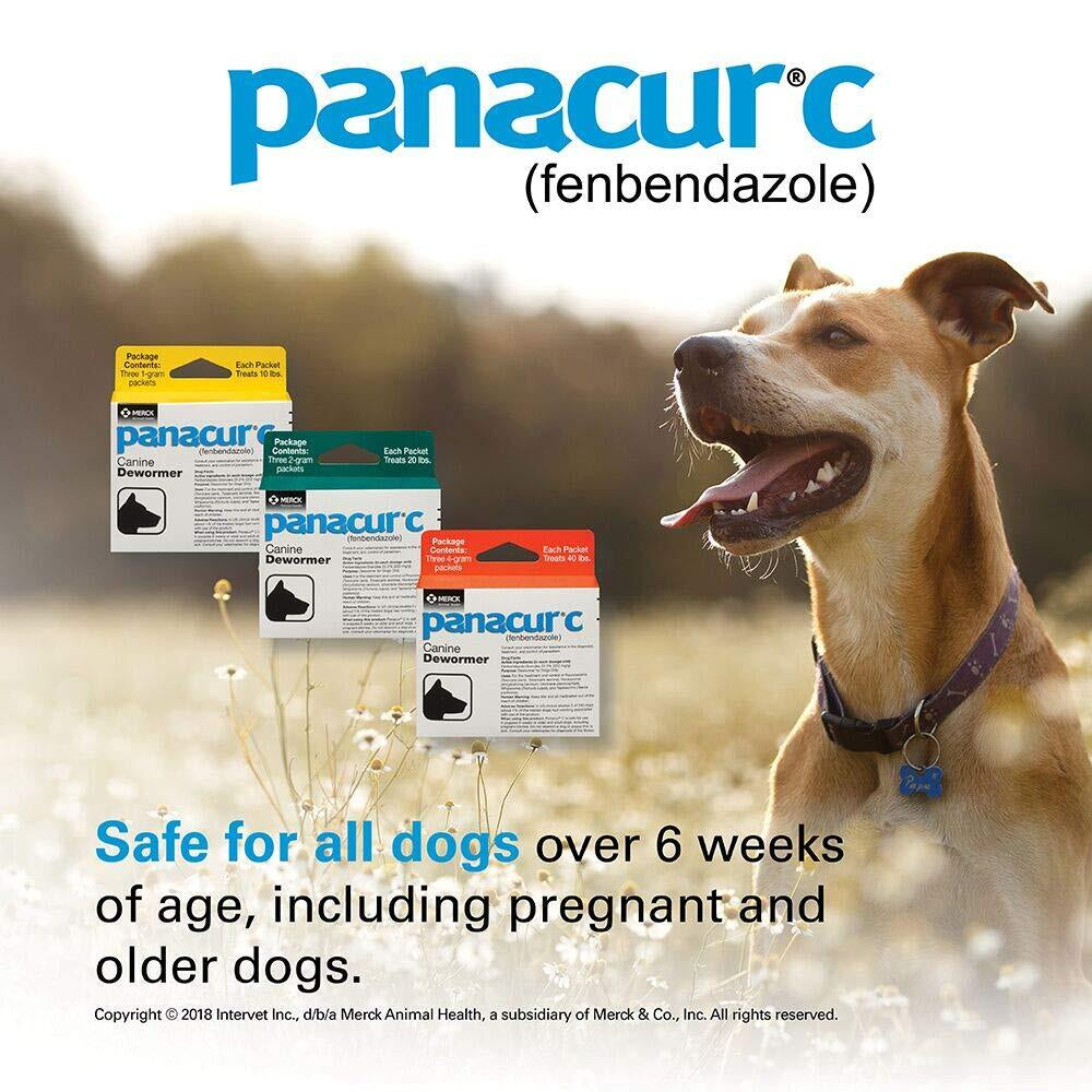 Panacur C Canine Dewormer for Dogs Treats Roundworms Hookworms Tapeworms