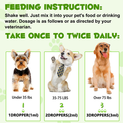 3-In-1 Liquid Probiotic for Dogs | Supports Digestive Health & Gut Comfort - 60Ml (1 Pack)