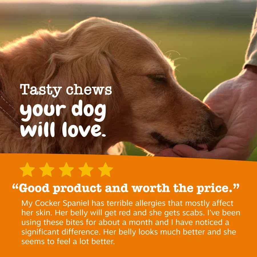Allergy & Immune Bites for Dogs