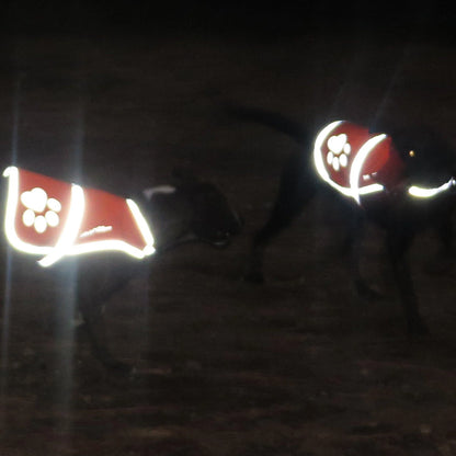Reflective Dog Vest Hi-Vis M Size 27.63 in Chest X 19 in Neck Blue