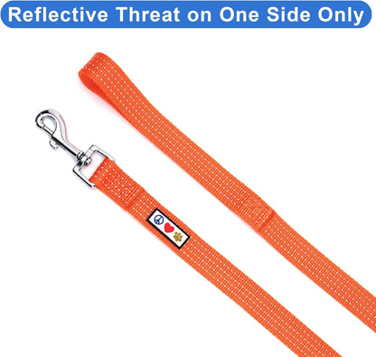 Reflective Orange Dog Leash - 6 Ft Durable Lightweight Lead for Medium & Large Dogs and Puppies
