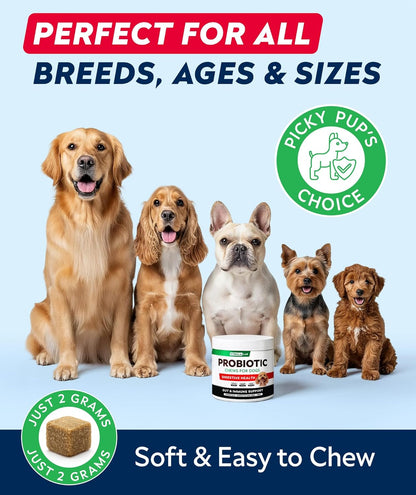 Probiotic Chews for Dogs - Digestive Enzymes & Fiber - Diarrhea, Constipation & Gut Health Relief - Prebiotic Formula
