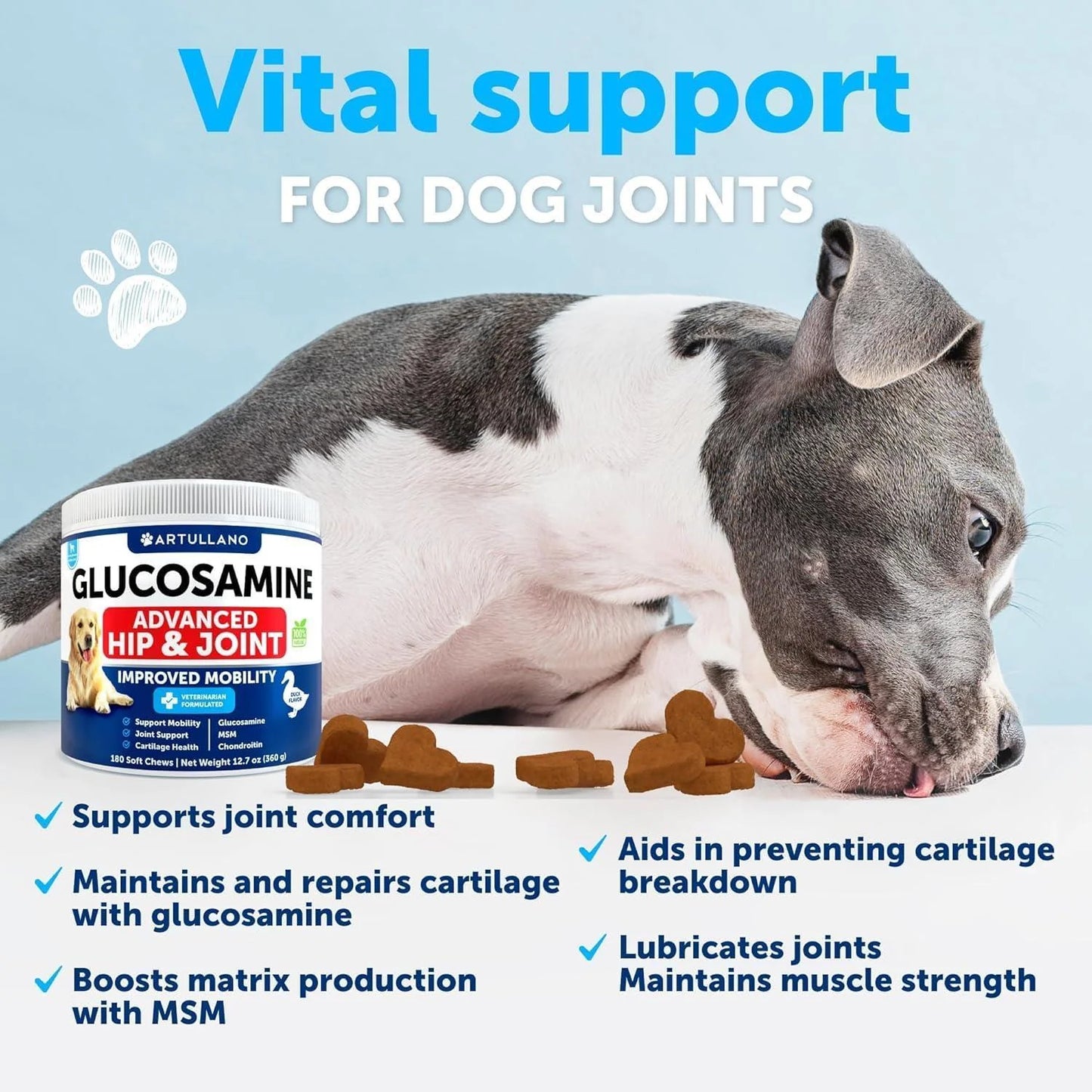 Glucosamine for Dogs Hip & Joint Chews Arthritis Support