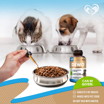 Natural Intestinal Defense for Dogs & Cats – Herbal Cleanse with Black Walnut, Wormwood & Probiotic – Promotes Healthy Gut & Flora Balance – Advanced Broad Spectrum Formula