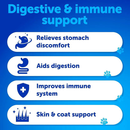 Probiotics for Dogs Gut Health Itchy Skin & Immune Support