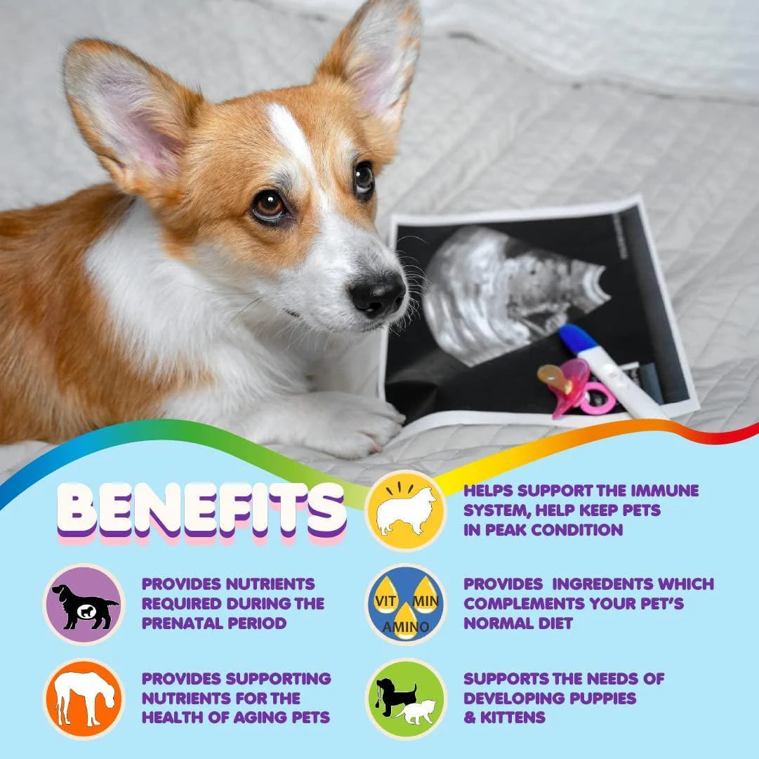 Prenatal Multivitamin for Dogs & Cats Folic Acid & Minerals
