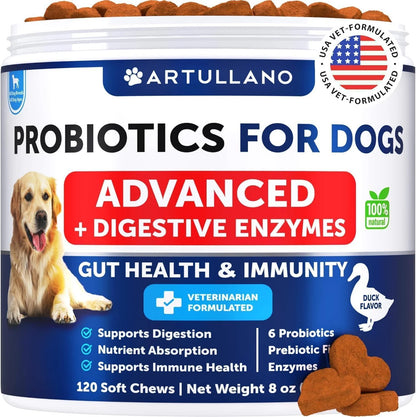 Probiotics for Dogs Gut Health Itchy Skin & Immune Support