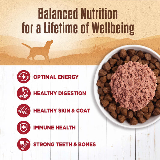 95% Beef Natural Wet Grain Free Canned Dog Food, 13.2-Ounce Can (Pack of 12)